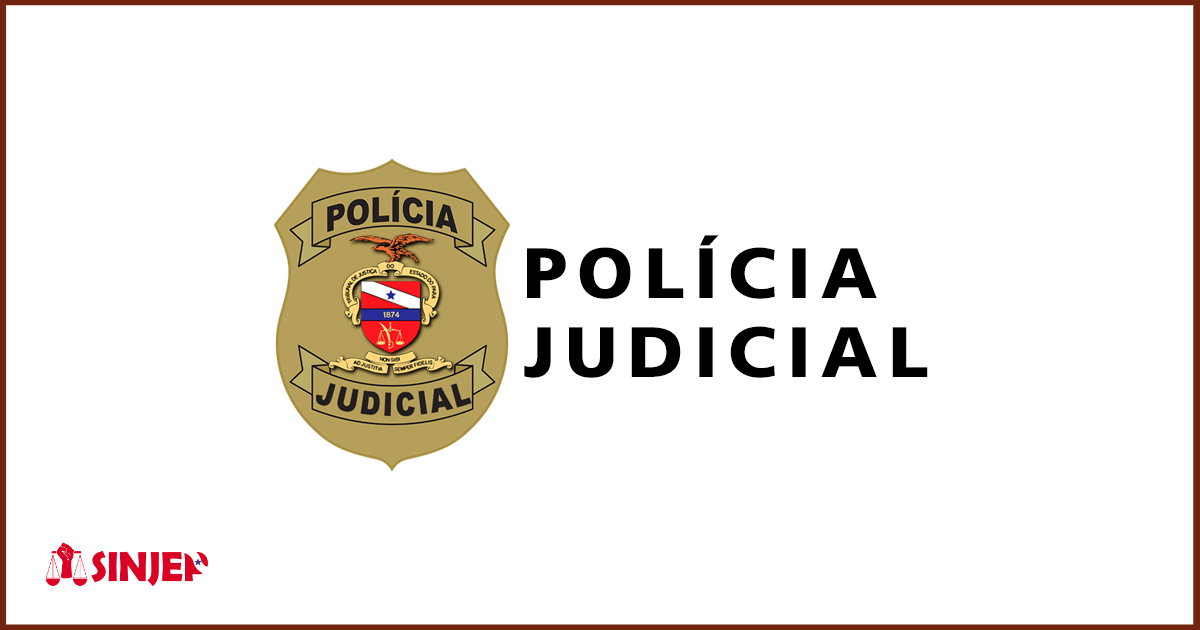 Read more about the article Sindicatos unem força em prol da Implantação da Polícia Judicial no TJPA